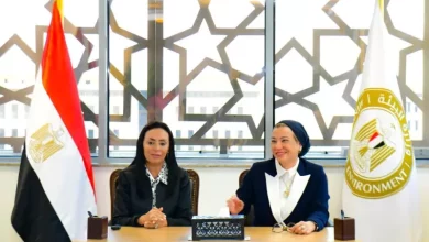 البيئة