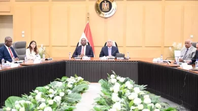 مصر