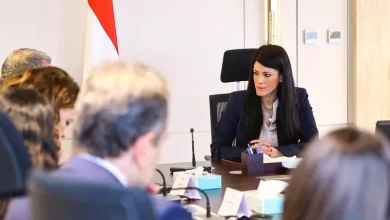وزيرة التخطيط