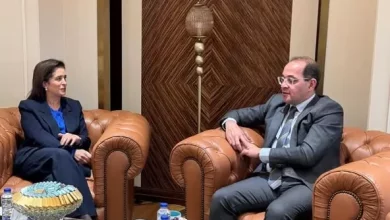 وزير المالية
