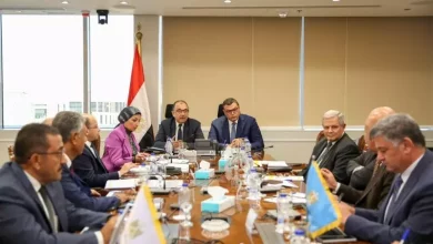 الاسكان