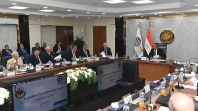 وزير قطاع الاعمال