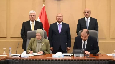 الصناعة