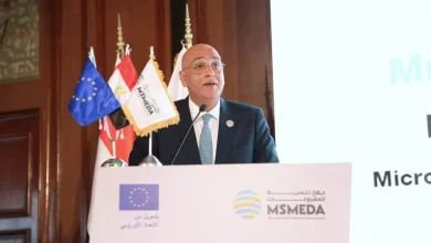تنمية المشروعات