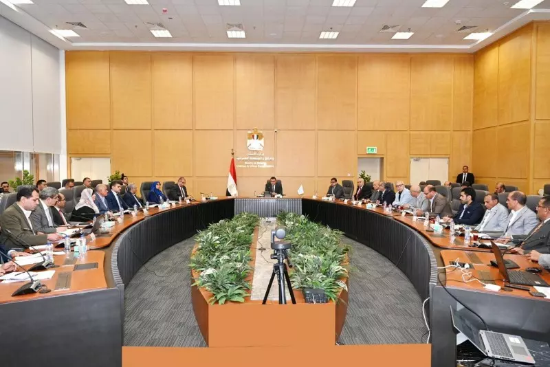 الاسكان