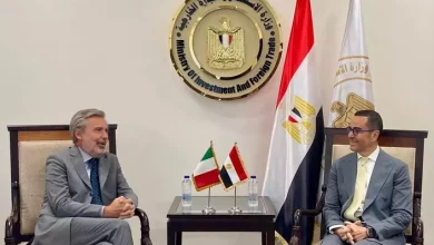 وزير الاستثمار