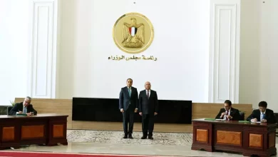 تيدا مصر