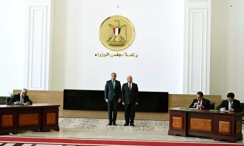 تيدا مصر