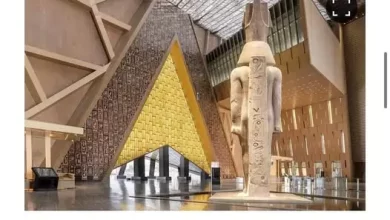 ناشيونال جيوجرافيك ترافيلر