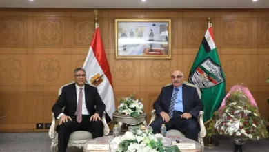 محافظ الجيزة