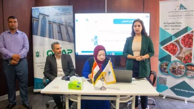 الرعاية الصحية