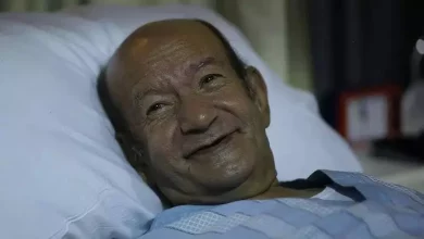 لطفي لبيب