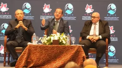 وزير المالية
