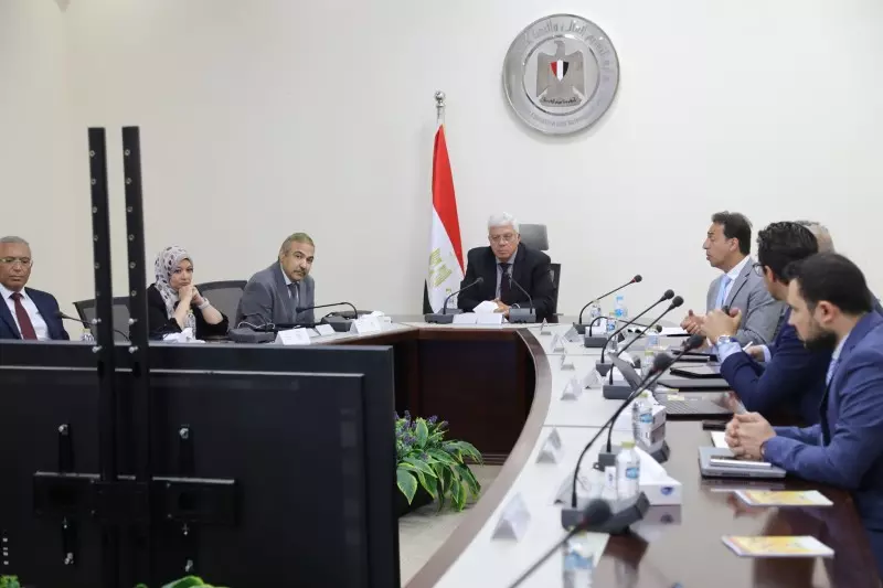التعليم العالي