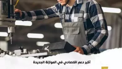 جهاز تنمية المشروعات