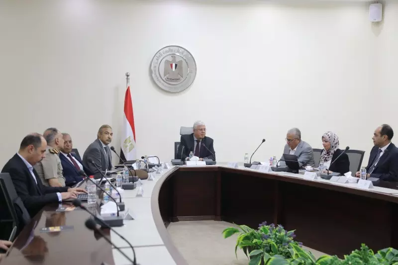 التعليم العالي