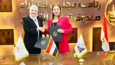 مجلس الوزراء