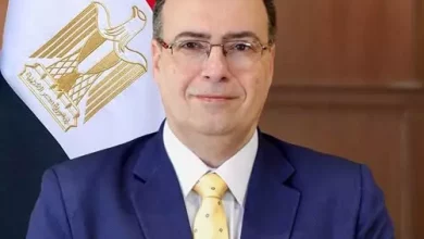 التنظيم والإدارة