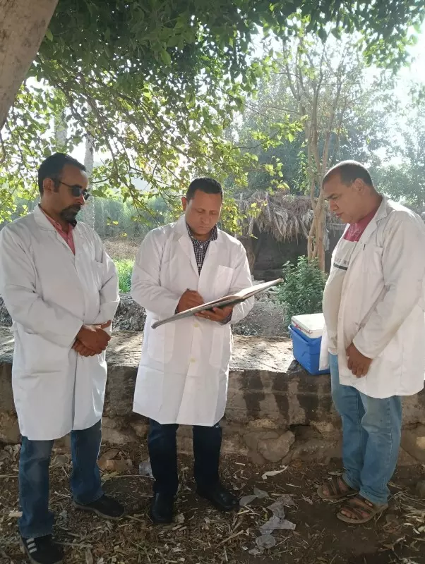 الجيزة