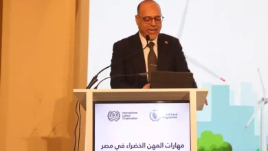 وزير العمل