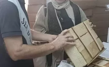 الجيزة
