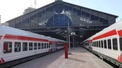  حديد مصر