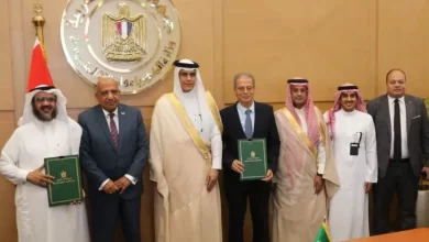 وزير الكهرباء