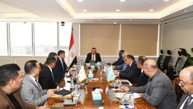 الاسكان