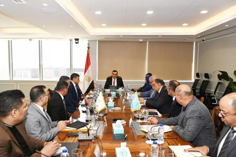 الاسكان