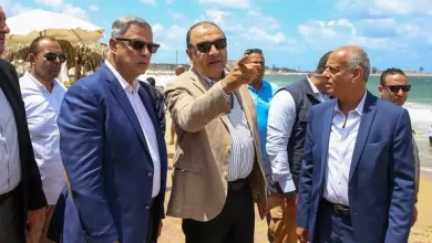 وزير قطاع الأعمال