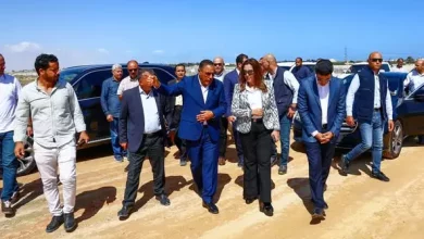 وزيرة التنمية