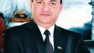 عمرو لطفي