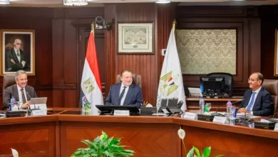 the Central Bank of Egypt