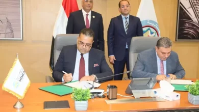وزير المالية