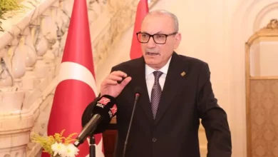 السفارة التركية بالقاهرة