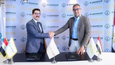 El Mansour Development