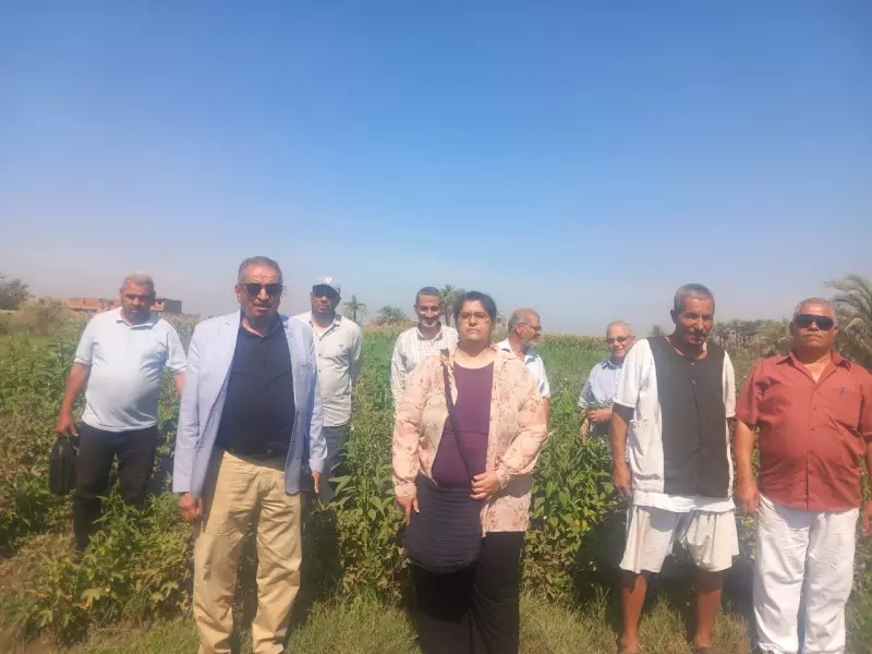 الزراعة