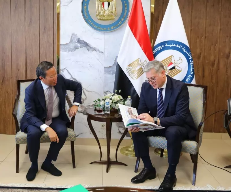بي بي مصر