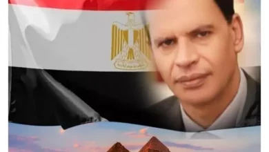التعليم والبحث العلمي