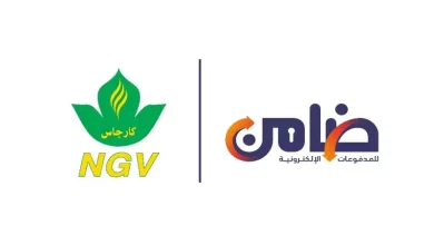 ضامن