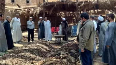 الزراعة
