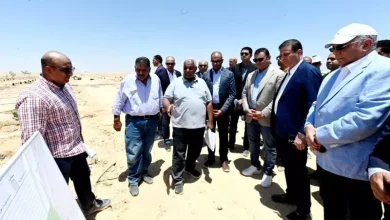الزراعة