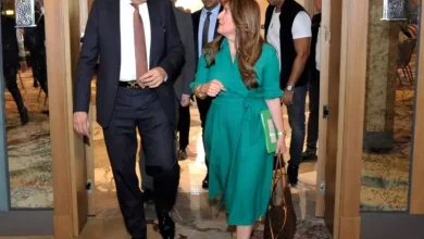 وزير الطيران