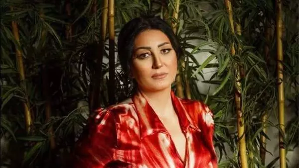 وفاء عامر