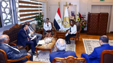 وزيرة التنمية