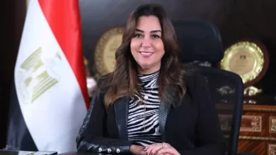 التنمية المحلية