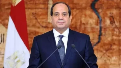 السيسي