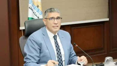 الجيزة