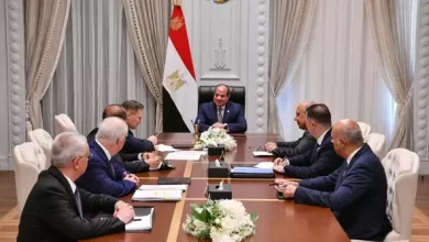 السيسي