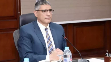 الجيزة